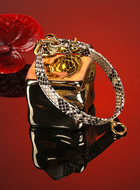 轻奢蛇纹皮质朋克金色圆环项圈