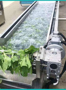 华北黄淮全自动不锈钢气泡清洗机定制玉米清洗成套设备厂家价格