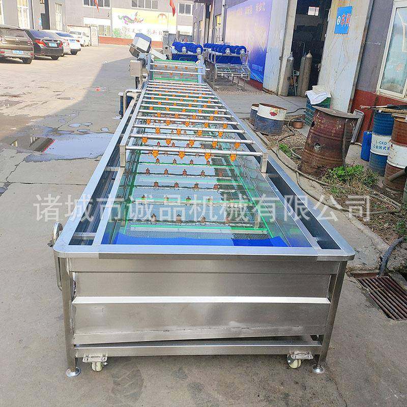 商用气泡清洗机肉块鱼片清洗流水线白菜洗菜机大枣蓝莓果蔬清洗机,淘宝优惠券,粉丝福利购,淘宝优惠卷