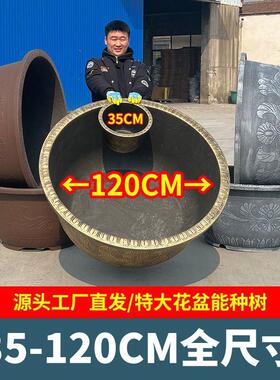 厂家直销超大号加厚塑料花盆户外庭院种超大果树花盆养睡莲荷花盆