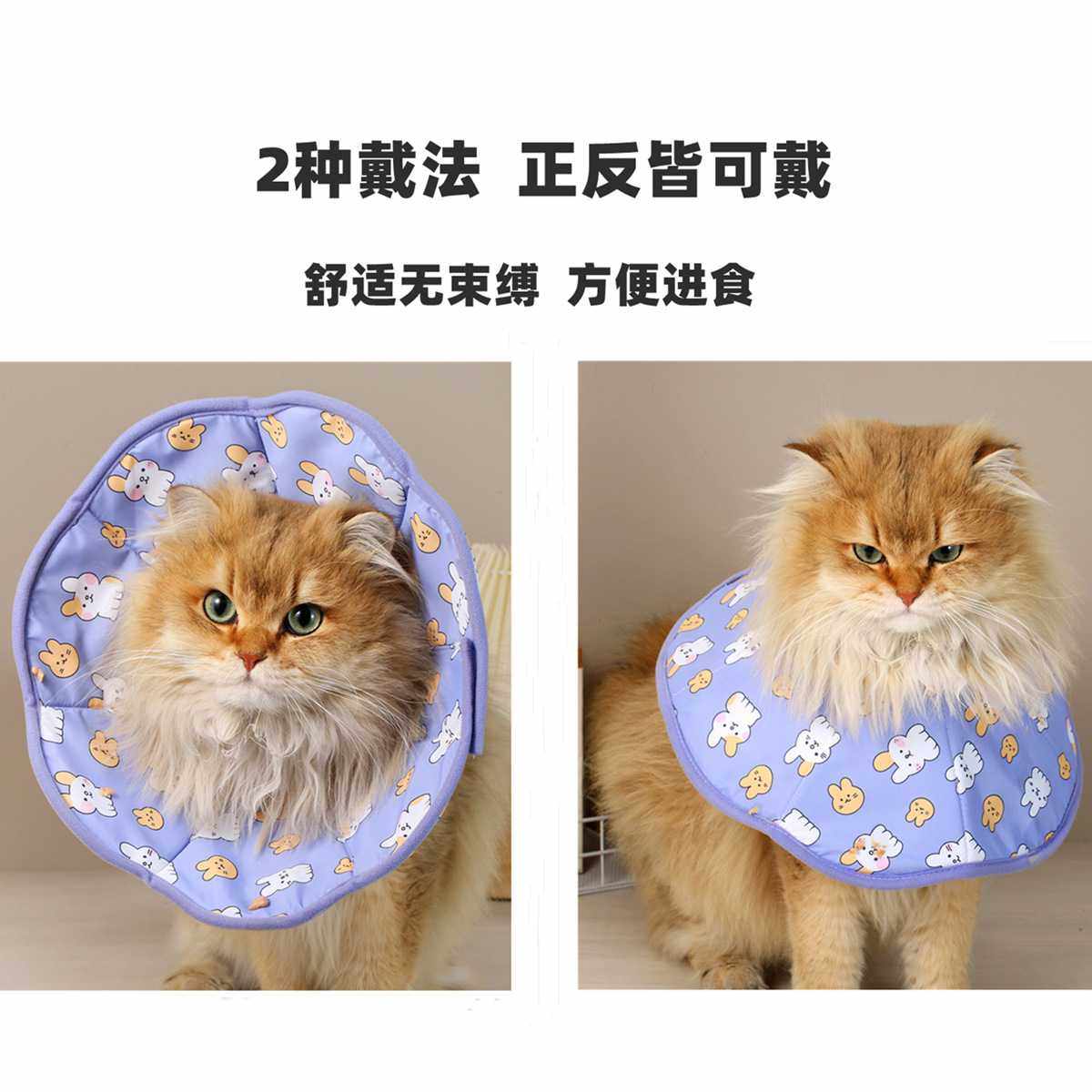 新款直销宠物伊丽莎白圈猫咪绝育项圈防舔圈围猫狗脖圈舔不着宠物,淘宝优惠券,粉丝福利购,淘宝优惠卷