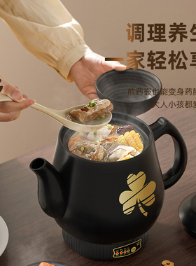【中医推荐】全自动电煎壶煎药壶