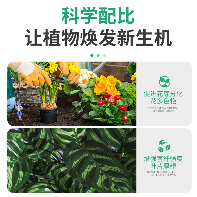 磷酸二氢钾肥料花卉专用正品农用果树蔬菜花肥叶面大量元素水溶肥 - 图3