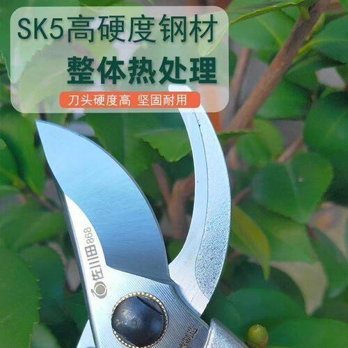佐川田868果树剪修枝剪家用剪树枝修花剪园林工具修剪树粗枝剪刀 - 图2