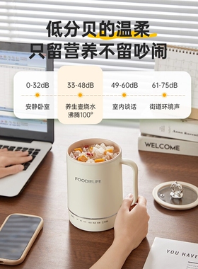 日本进口养生壶小型办公室迷你mini煮花茶壶一人用养生杯烧水壶女