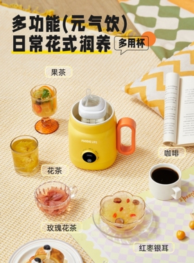 日本进口养生壶炖煮一体办公室小型一人花茶煮茶壶器电热水壶多功