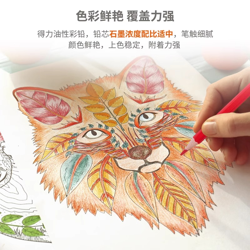 得力六角杆油性彩色铅笔36色小学生画画专用手绘
