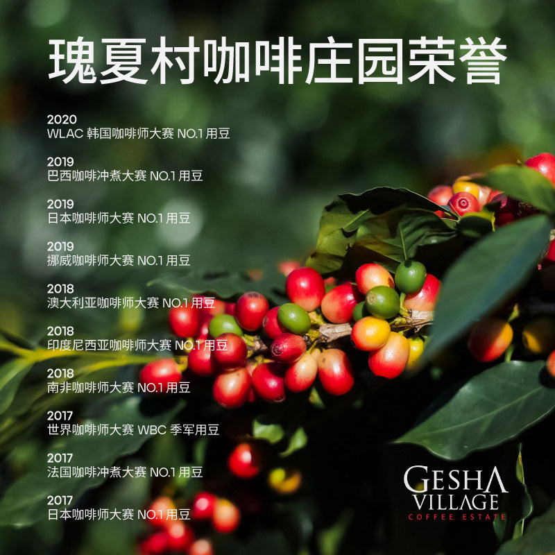 【IRIS甄选】24新产季金标瑰夏1931瑰夏村班驰玛吉地块手冲咖啡豆