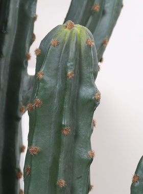 北欧风仿真仙人掌龙神柱仙人掌盆栽室内家居装饰摆件仿生植物造景
