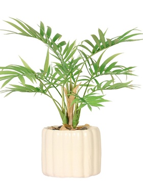 仿真盆栽竹葵盆栽假绿植网红家居客厅装饰摆件酒店橱窗造景假植物