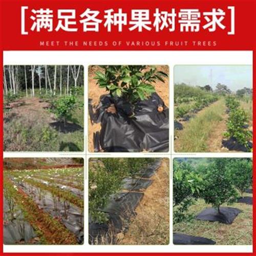 防草布除草布地布果树地钉园艺农用黑色地膜抗老化果园盖草抑草布-图2