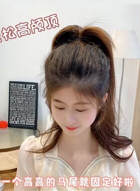 南瓜小抓夹新款大号丸子头饰发夹