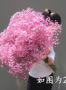 大束满天星干花花束真花鲜花论斤卖家用客厅摆件装饰插花圣诞礼物