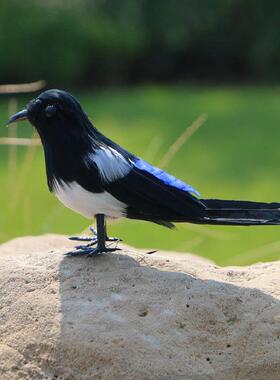 新品仿真羽毛喜鹊摆件小鸟喜上眉梢七夕节主题装饰婚礼布景道具