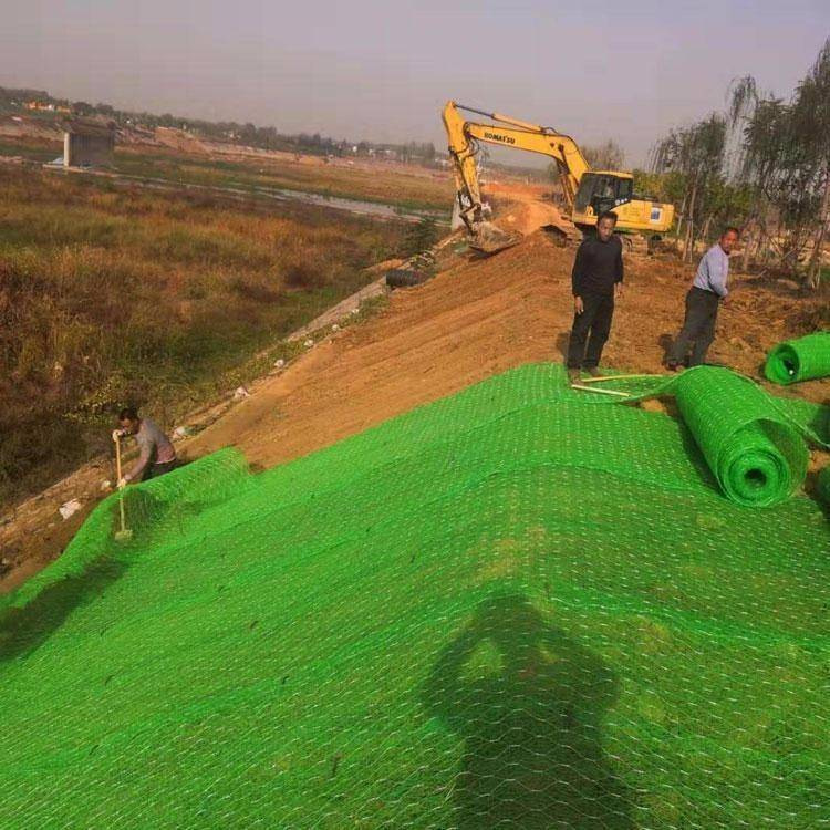 加筋麦克垫河道护土聚丙烯河道护坡生态绿化三维植被网固土植生垫 - 图2