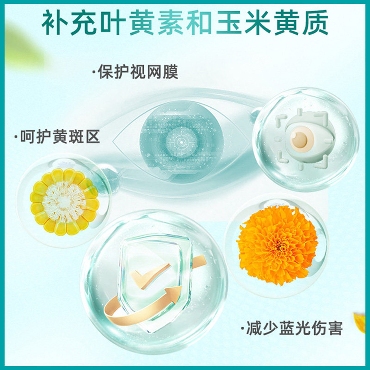 BLACKMORES澳佳宝叶黄素片60粒保护青少年护眼叶绿素蓝光学习正品