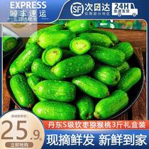 Dandong Soft date macaque High end baby pregnant woman Fruit whole box Fresh off season Northeastern special Thumb Exotic Berries