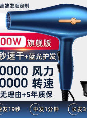 吹风机家用大风力理发店专用大功