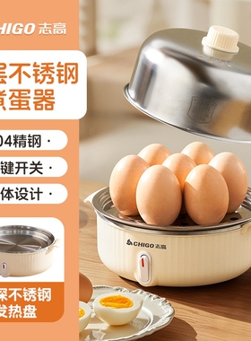 志高304不锈钢电蒸锅家用双层多