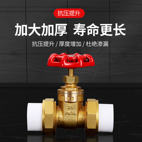 正品铜闸阀ppr管PE自来水管阀门开关4分20管6分25双活接1寸32热熔 - 图0