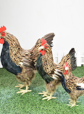 2025新款仿真羽毛动物模型双鸟组合装饰客厅摆件创意拍照道具