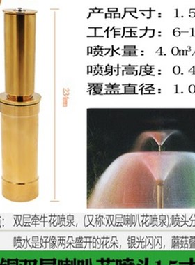 喇叭花喷头全铜1寸6分4分 喷泉园林园艺水景景观可调屋顶降温实用