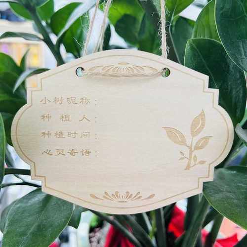 植树节认养牌植物标签插牌学校种树活动树苗信息牌木质吊卡许愿牌-图2