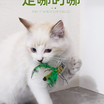 p Insect Cat Cat Stick Cat Toy ຄວາມສຸກ ແລະ ຄວາມເບື່ອໃນຕົວເອງ ການບັນເທົາອາການເບື່ອກັດ ທົນຕໍ່ການທົດແທນຫົວ Pet Kitten Collection