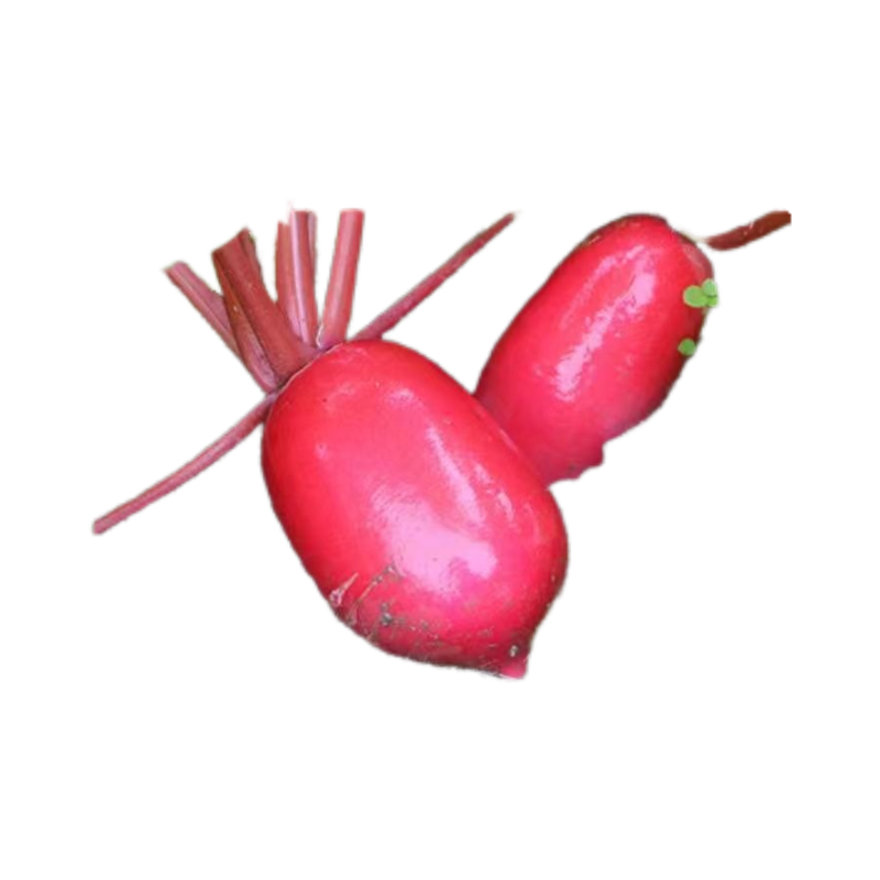 新鲜红皮萝卜9斤装红皮白心萝卜脆嫩腌制泡菜专用时令蔬菜包邮,淘宝优惠券,粉丝福利购,淘宝优惠卷