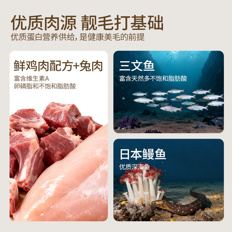 【U先试用】老疯杨42天美毛猫粮试吃全价鲜肉低温烘焙粮三文鱼油 - 图3