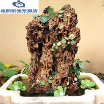 Water Absorbent Stone Raw Stone Absorbent Stone Raw Stone Upper Water Stone False Mountain Bonsai Living Room New Flowing Water Decoration Pendulum