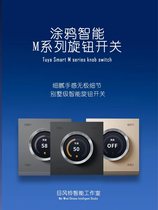 Graffiti Knob Switch Zigbee Dimming Panel Temperature-controlled Panel Full House Smart Home Light Brightness Adjustment