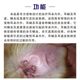 Pet ear mite medicine dog and cat ear canal mite ear scratching medicine dog and cat ear drops fungal ear mite net drops