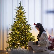 Christmas Decorations Home Large Pendulum Shine encrypted Christmas Tree 2023 new emulated pine lamp package