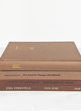 熙思样板间真书可阅读售楼处书房棕褐色软装饰品英文道具书摆件