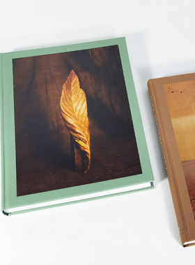 熙思简约布面摄影艺术摆件仿真书装饰品拍照柜书房样板间桌面摆设