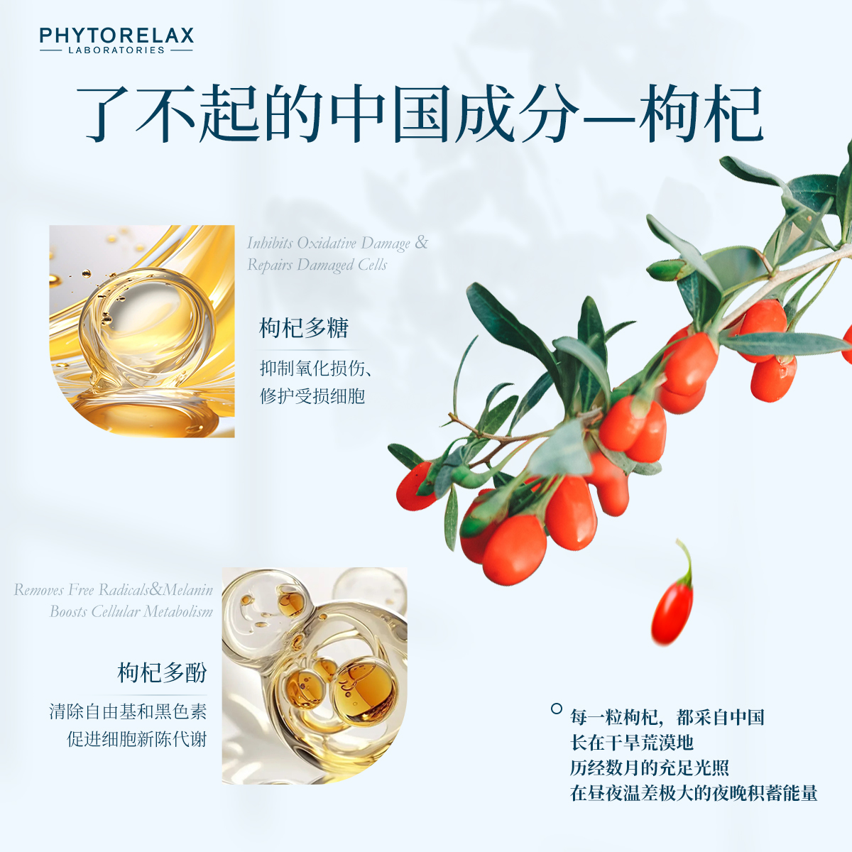 Phytorelax菲芮斯枸杞活龄抗皱面霜 保湿抗皱改善初老紧致霜50ml