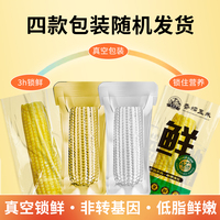 刘老杆正宗东北黄糯玉米8-9根共1760g