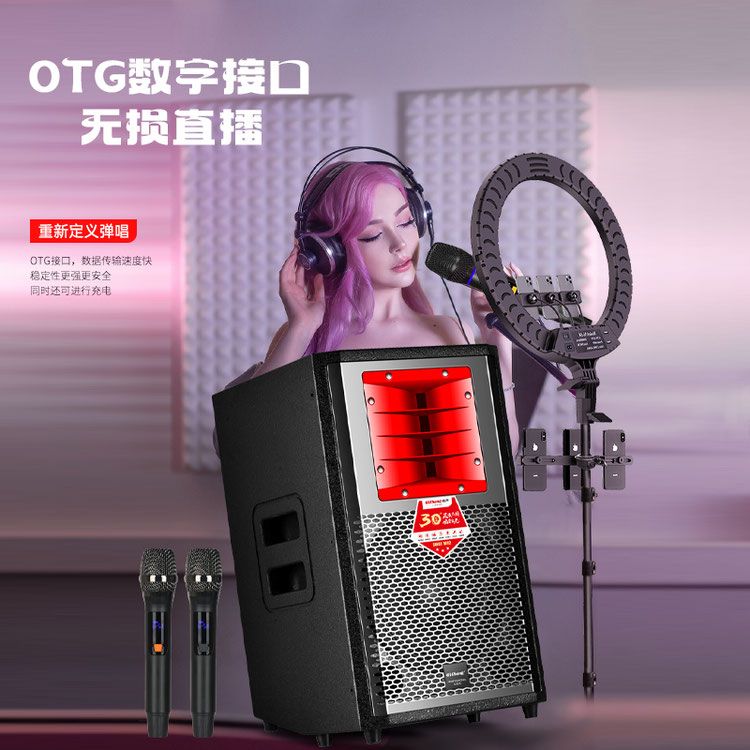 奇声260W大功率广场舞音响 乐器弹唱户外专业演出蓝牙音箱OTG音箱 - 图0