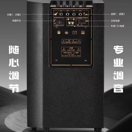 奇声260W大功率广场舞音响 乐器弹唱户外专业演出蓝牙音箱OTG音箱 - 图3