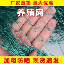 18 shares plus coarse breeding chicken nets Blocking Chicken Nets Poultry Breeding Nets Blocking Chicken Nets Nets nets Top-net bird-proof fencing nets Skynet
