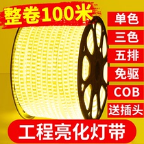 Roger Langcob lamp with outdoor waterproof led light strip 220V ultra bright home living room ceiling engineering brightening three colors