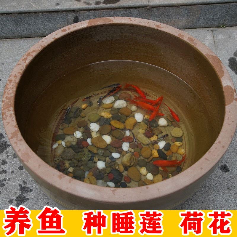 养鱼阳台陶瓷盆大号特大老式水缸泥盆鱼缸大型睡莲荷独立式庭院家-图2