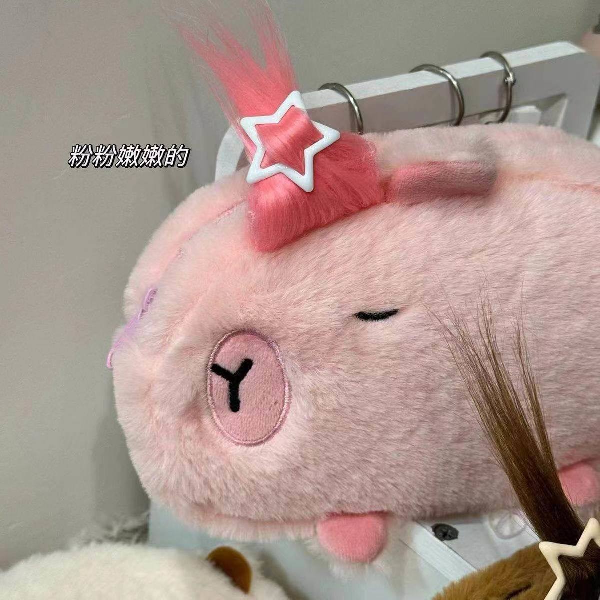 卡皮巴拉毛绒笔袋大容量学生卡通收纳袋桌面整理多功能文具铅笔盒,淘宝优惠券,粉丝福利购,淘宝优惠卷