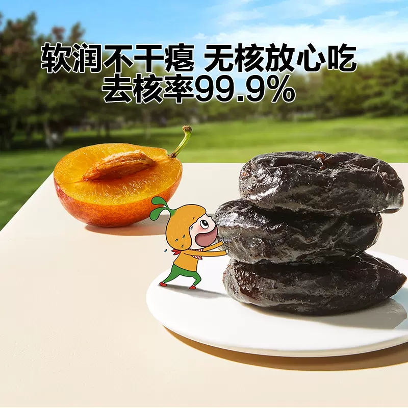 窝小芽纯纯无核西梅儿童零食无添加色素西梅干水果条水果片果脯