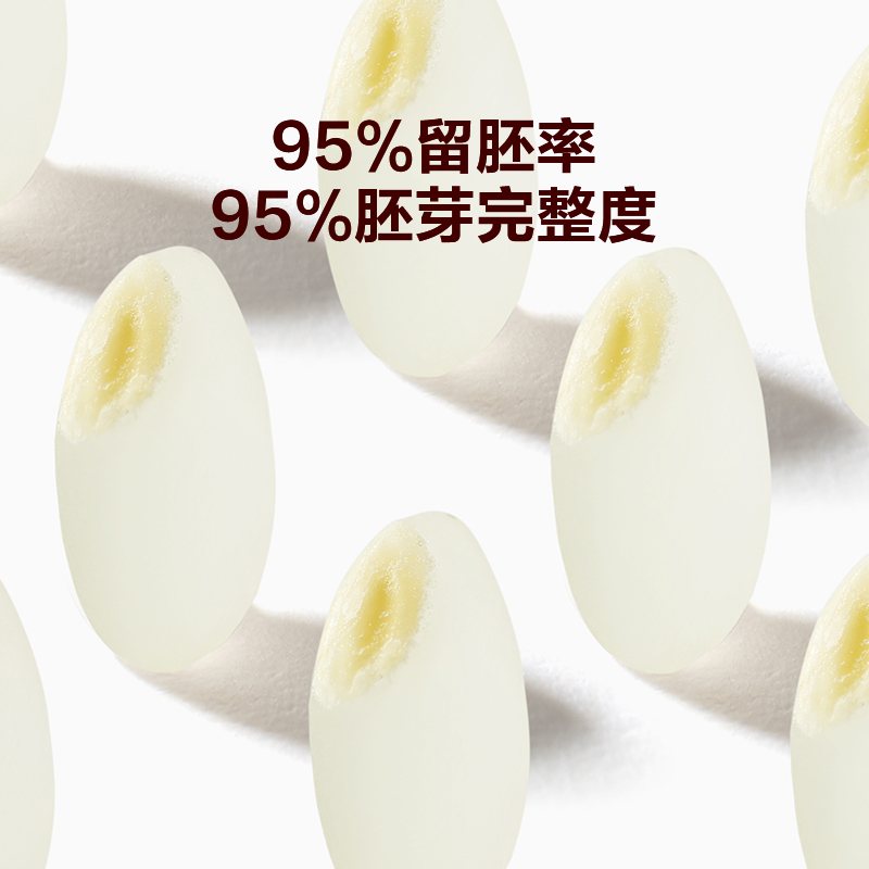 窝小芽有机胚芽米谷物杂粮营养大米煮粥米儿童新米95%留胚率