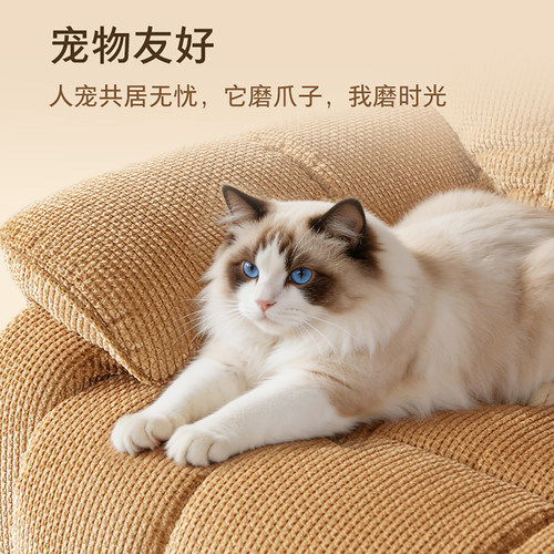 LAZBOY乐至宝沙发单人电动功能猫抓布雪尼尔绒布沙发648Y雪绵宝宝 - 图1