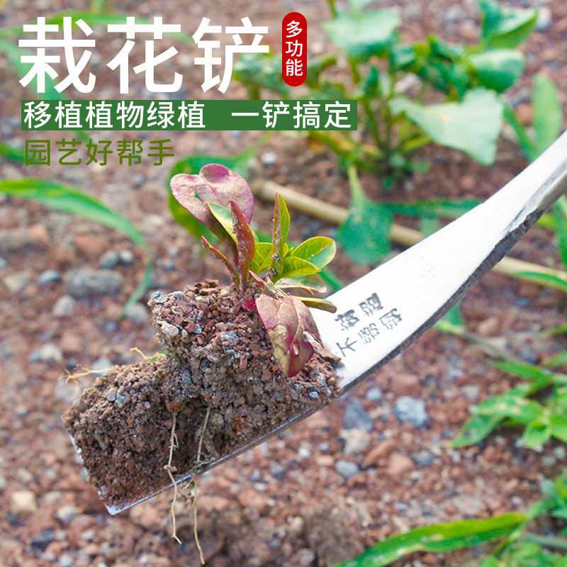 不锈钢起根器园艺种花工具挖野菜的小铲子连根挖蒜苗户外拔草神器-图2