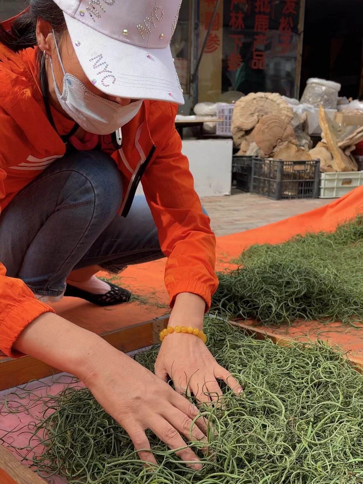 嗷嗷叫 长白山 野生黄金茶 多孢子 产地直发 保真保纯 50克一罐,淘宝优惠券,粉丝福利购,淘宝优惠卷