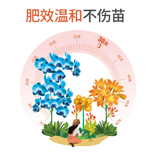 花肥谷兰花多箭肥料专用肥君子兰蝴蝶兰墨兰大花蕙文心兰有机菌肥 - 图2